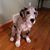Frank Roark's profile image