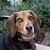 Mary Jane Mauch's profile image