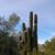Patricia Newhouse's profile image