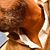 Tony Conger's profile image