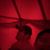 Regino Gomez's profile image