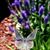 Laura Jo Moles's profile image