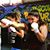 Heather Castellanos's profile image