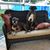 Michelle Porter Keyes's profile image