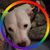 David Smith's profile image
