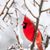 Pamela Porter Mahachek's profile image