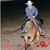 Lori Watermann Froemke's profile image