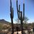 Amy Jacobson Sorenson's profile image