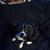 Jessie Ross's profile image