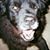 Todd Courter's profile image