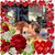 Nancy Paul Ahrens's profile image