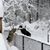 Baxter Knoblock Snider's profile image