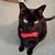 Pamela Kelley's profile image
