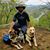 Mark Nielson's profile image