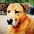 Gary Hise's profile image