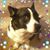 Scott Striep's profile image