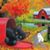 Sandra Griesel's profile image