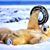 Marto Marto's profile image