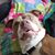 JoAnn Blakeslee's profile image