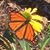 Amy Jones's profile image