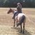 Cathy Suhr Gorg's profile image