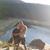 Diana M. Schissler's profile image