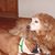 Buster Brown's profile image