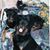 Susan Carlson's profile image