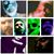 Dan Carpenter's profile image
