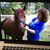 Terri Maddalone-Ristau's profile image