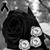 Diego Ruiz's profile image