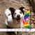 Steve Galloway's profile image