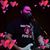 Andrew Savard's profile image