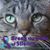 Johanna Marie Schwed's profile image