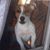 Pam Sween's profile image