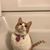Kelly Dugas's profile image