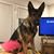 Crystal Smith's profile image