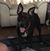 Melinda N John Collins's profile image