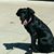 Sherre Trunk's profile image