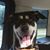 Gayla Porter's profile image
