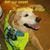 Teresa Lambeth Cagle's profile image