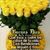 Ligia Margarita's profile image
