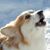 Victoria Steen's profile image