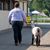 Susan Wertz's profile image