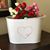 Tracy Zayas's profile image