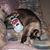 Ilona Kelley's profile image