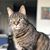 Mariana Martinez's profile image
