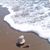 Cynthia Lee's profile image