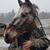 Amy Miller's profile image