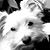 Christine Brooks's profile image